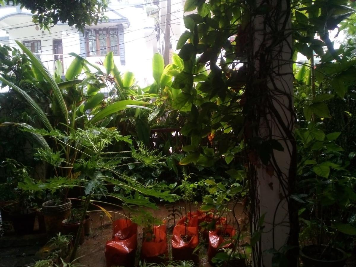 Nathans Holiday Home Kochi Exterior foto
